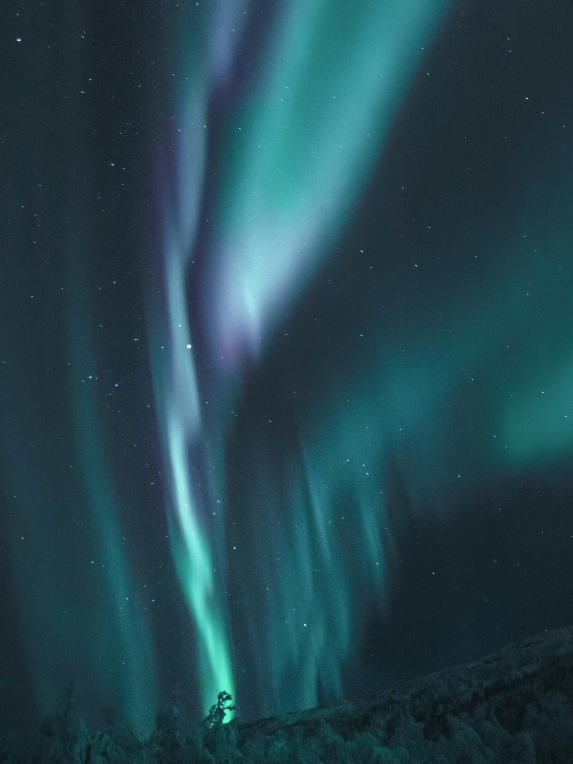 Captivating view of aurora borealis lighting up a starry night sky with vibrant colors and patterns.