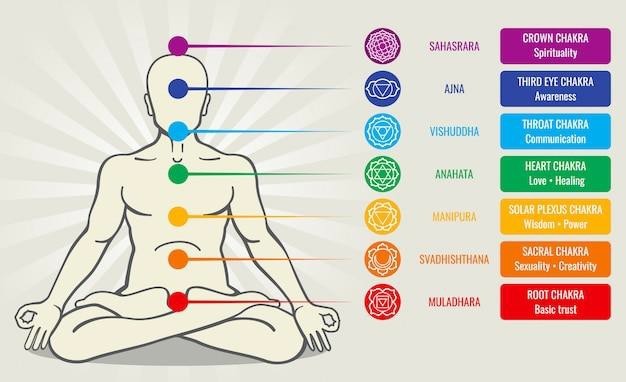 Illustrated chakra system diagram showing the seven energy centers of the body associated with grounding, creativity, love, communication, intuition, and spirituality