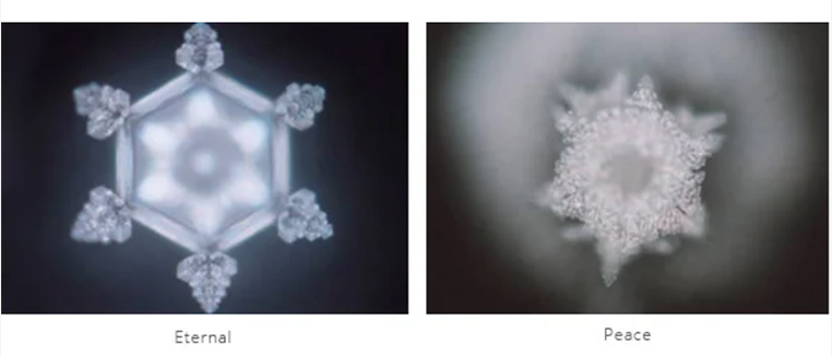 Microscope images of water crystal formations showing geometric snowflake-like patterns, representing the relationship between words, emotion, and water.