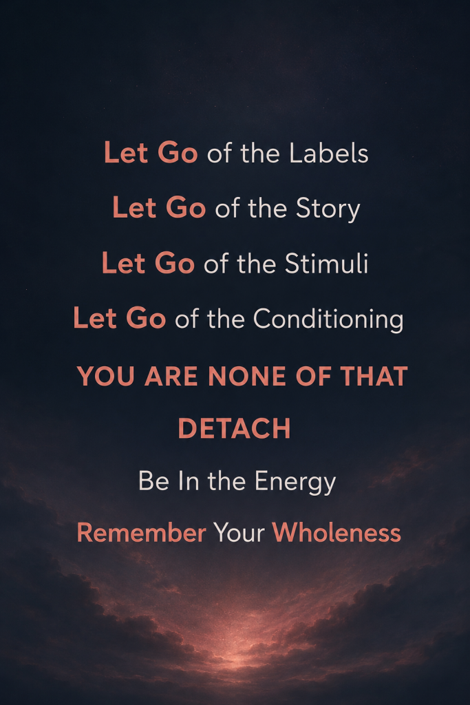 Letting go of the conditioned mind through stillness and presence